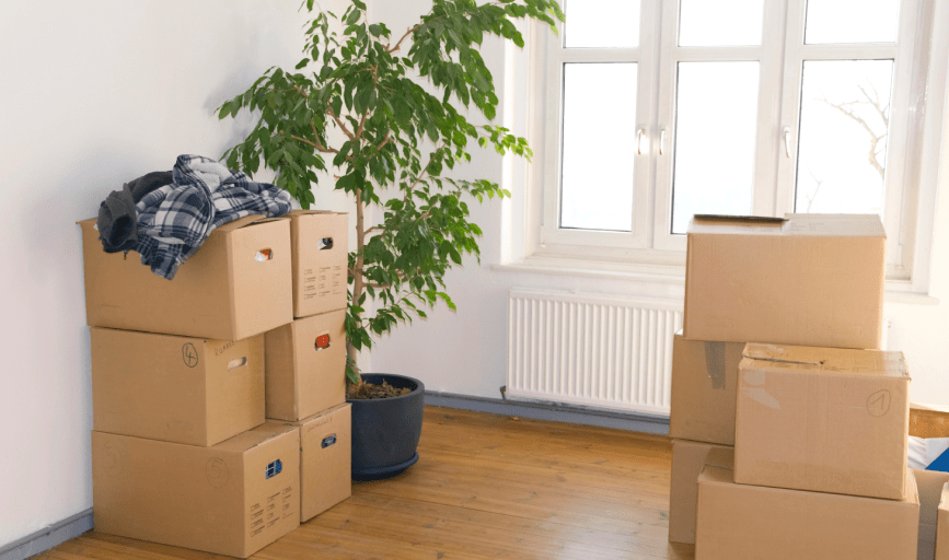 MOVE-OUT CLEANING